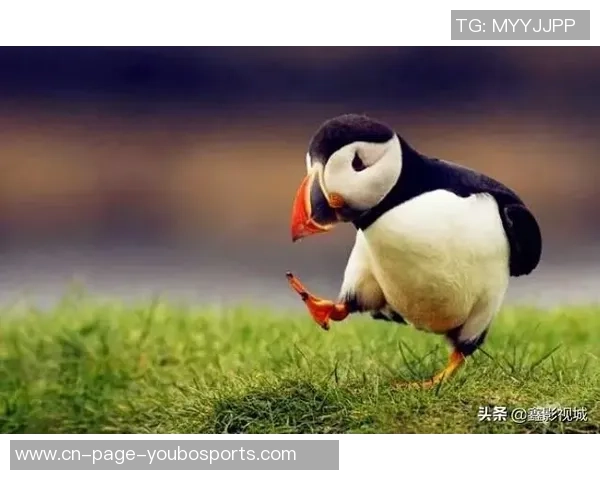 足球场上的搞笑瞬间让你捧腹大笑的趣事集锦